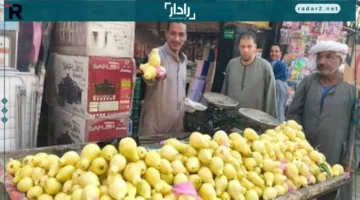 أسعار فاكهة الشتاء في أسواق الأقصر اليوم الجمعة 24 أكتوبر